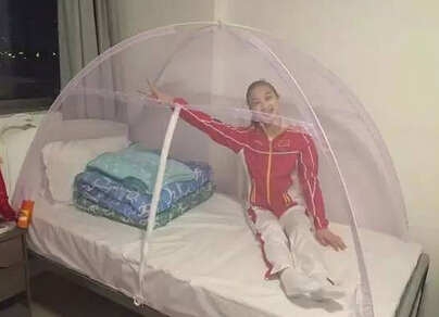 蚊帳.jpg